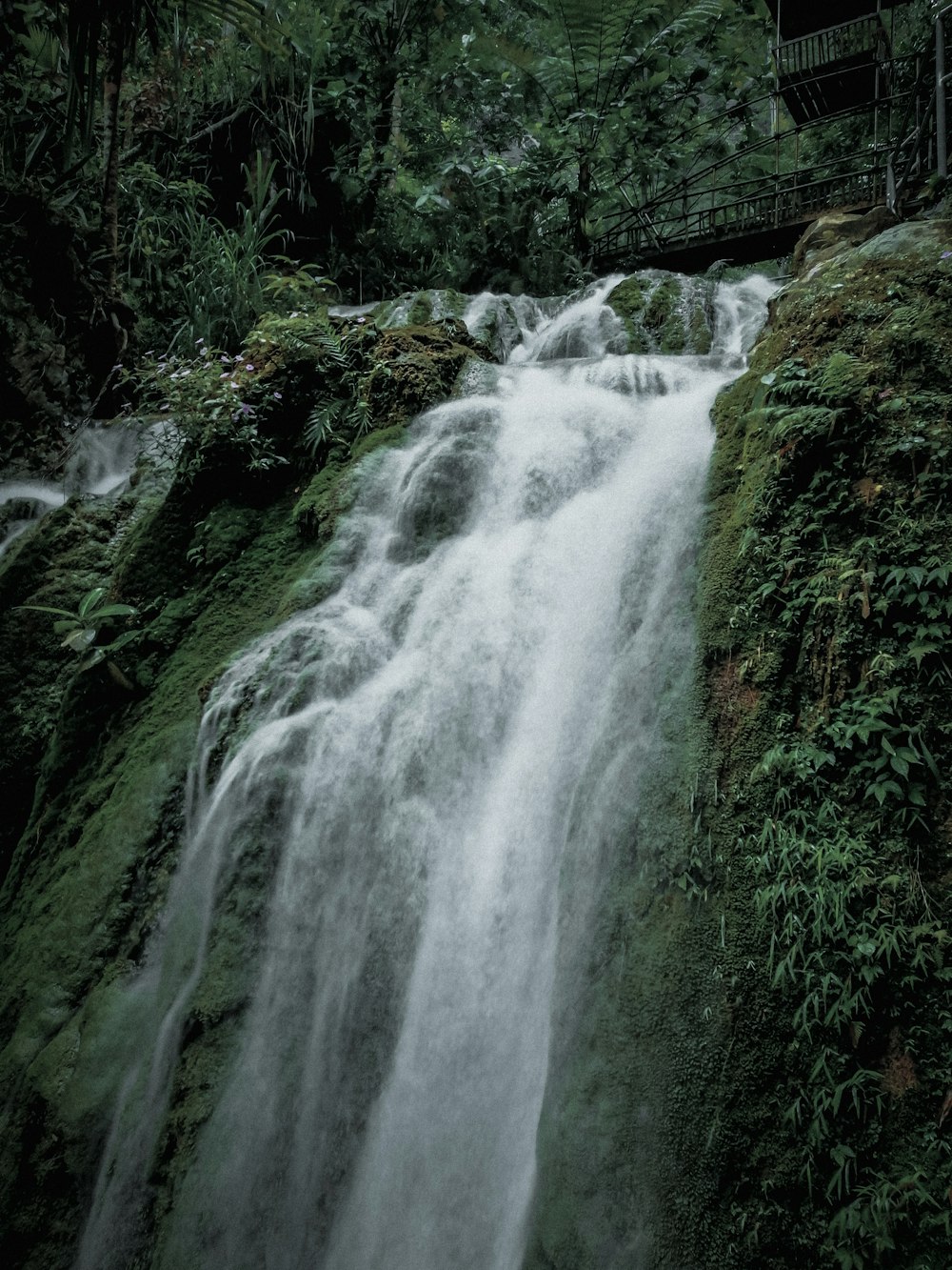 green moss on brown rock formation near waterfalls