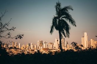 city skyline during day time