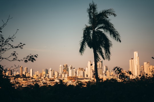 city skyline during day time in Panama City Panama