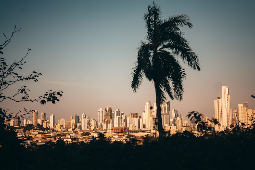 Skyline der Stadt tagsüber