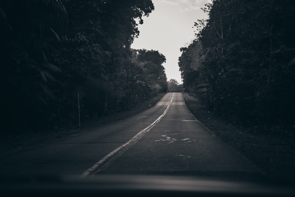 gray asphalt road between trees during daytime