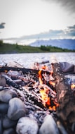 A small campfire burns brightly among a pile of gray stones, with orange and yellow flames dancing around darkened logs. The background shows a blurred landscape of green shrubs and distant mountains under a cloudy sky, suggesting an outdoor setting in nature.