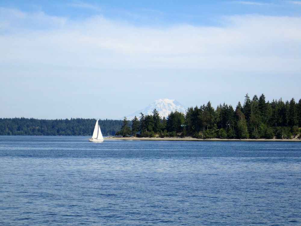 white sailboat on sea near green trees under white sky during daytime