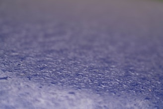 A close-up of a water-repellent surface reflecting droplets of water.