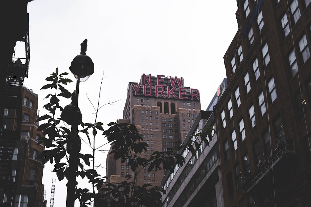 low angle photography of brown concrete building under white sky during daytime