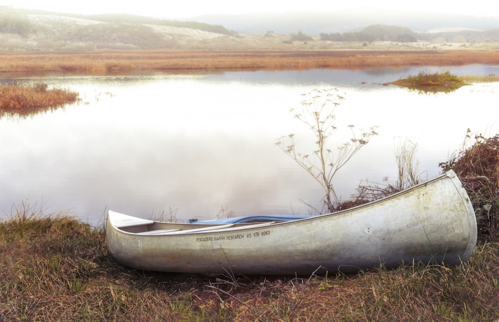 white and blue canoe on lake during daytime