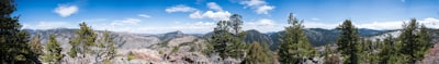 green trees on brown mountain under blue sky during daytime wilderness teams background