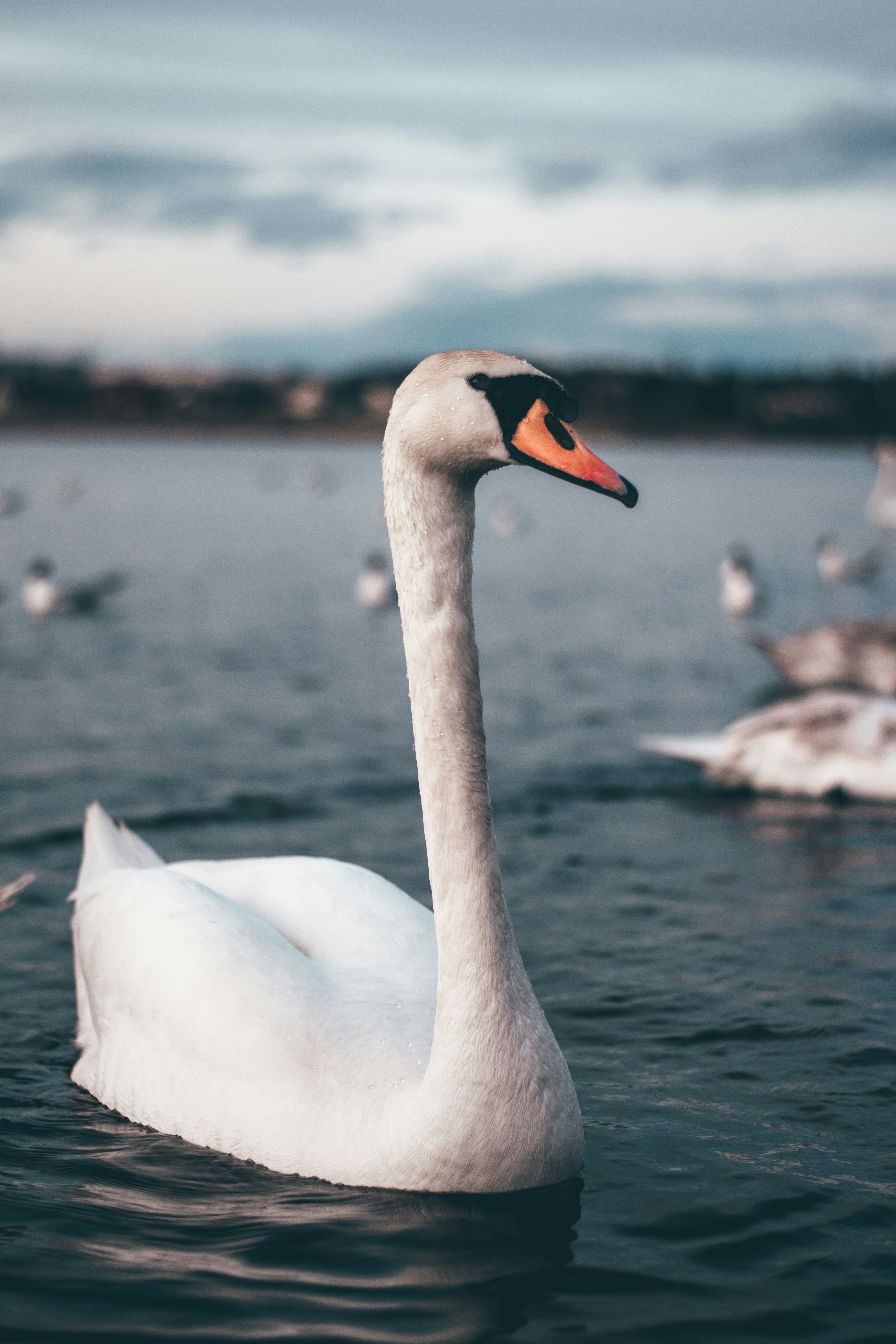 Photo by wrecker2281337