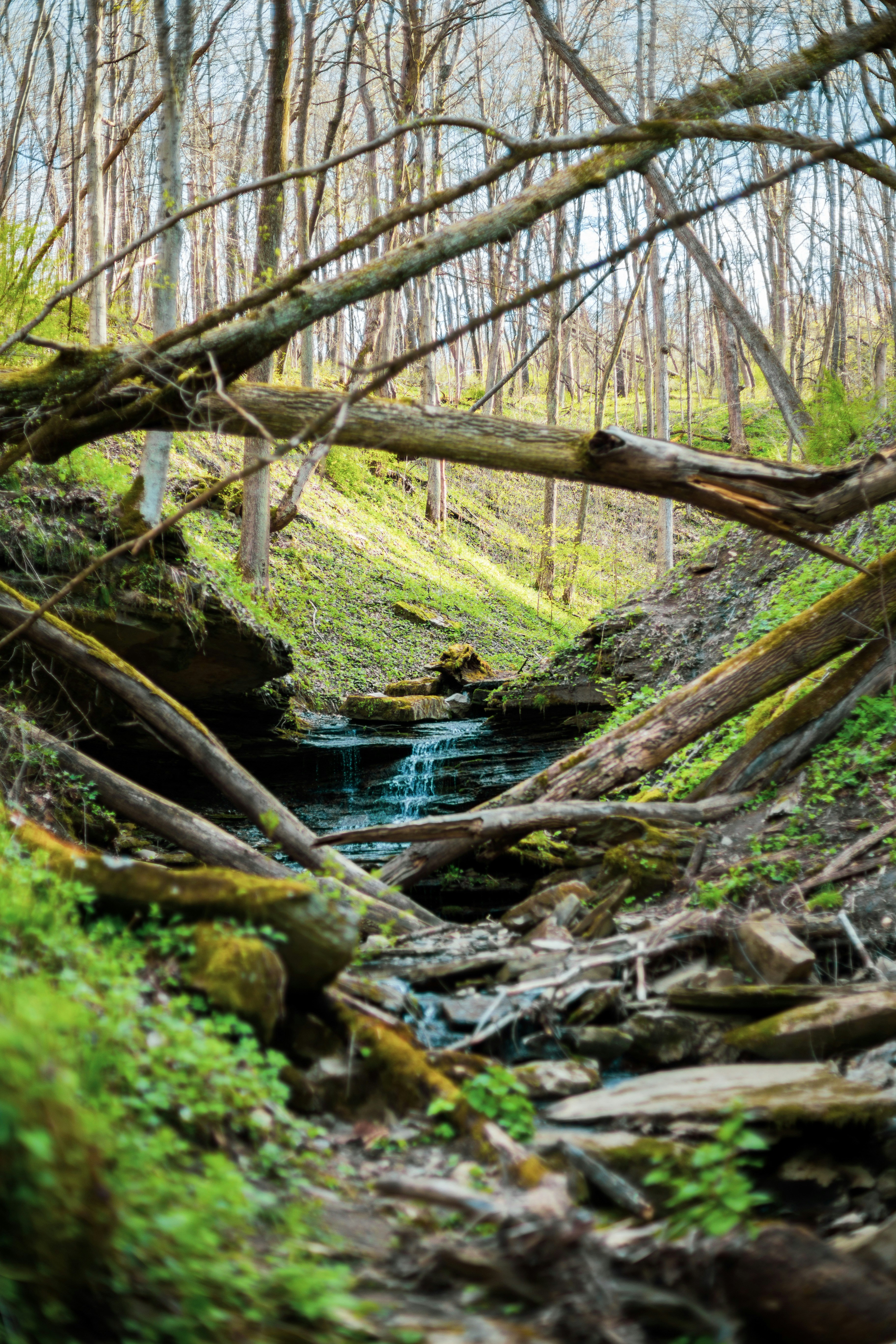 Photo by zanderson19