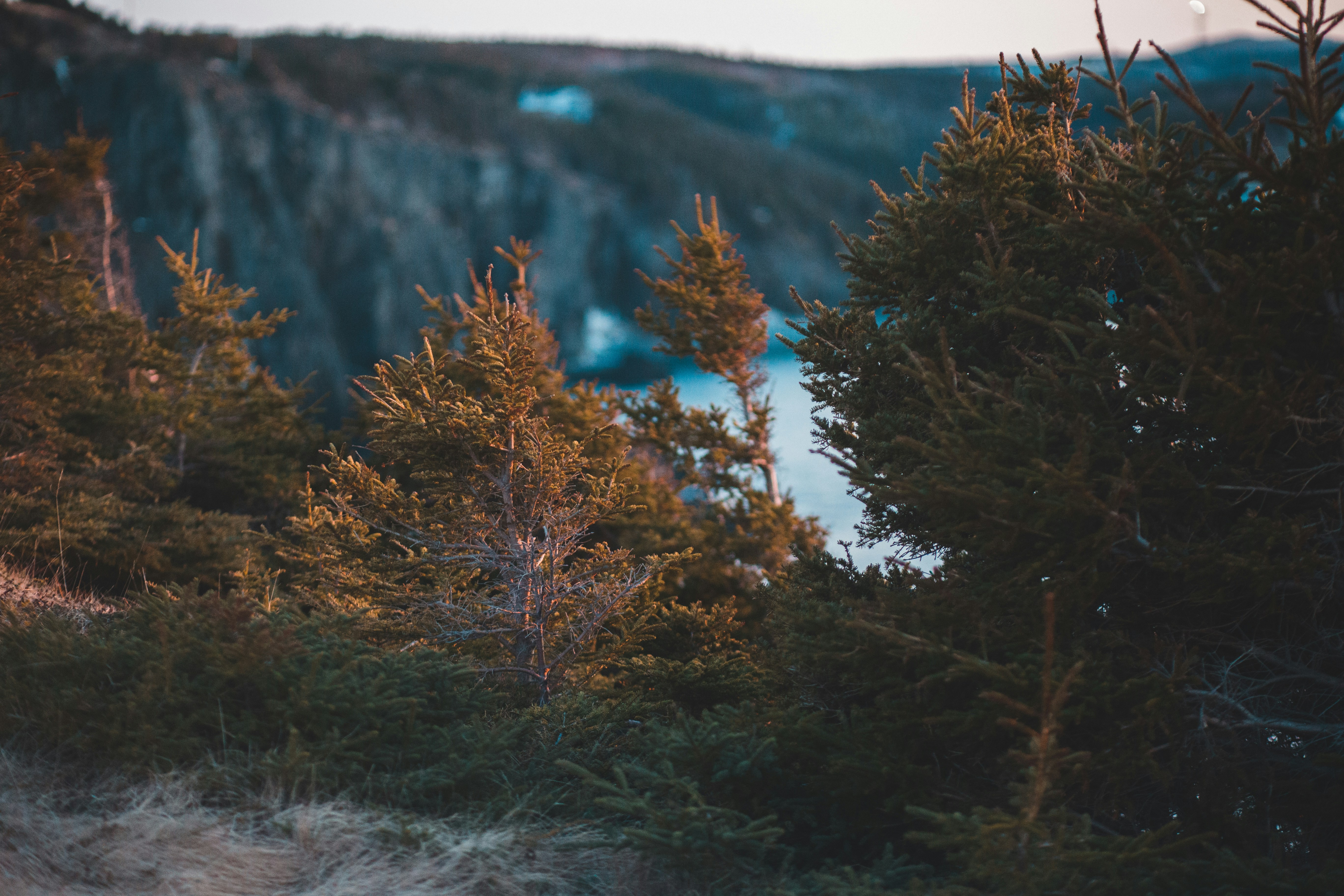 Photo by introspectivedsgn