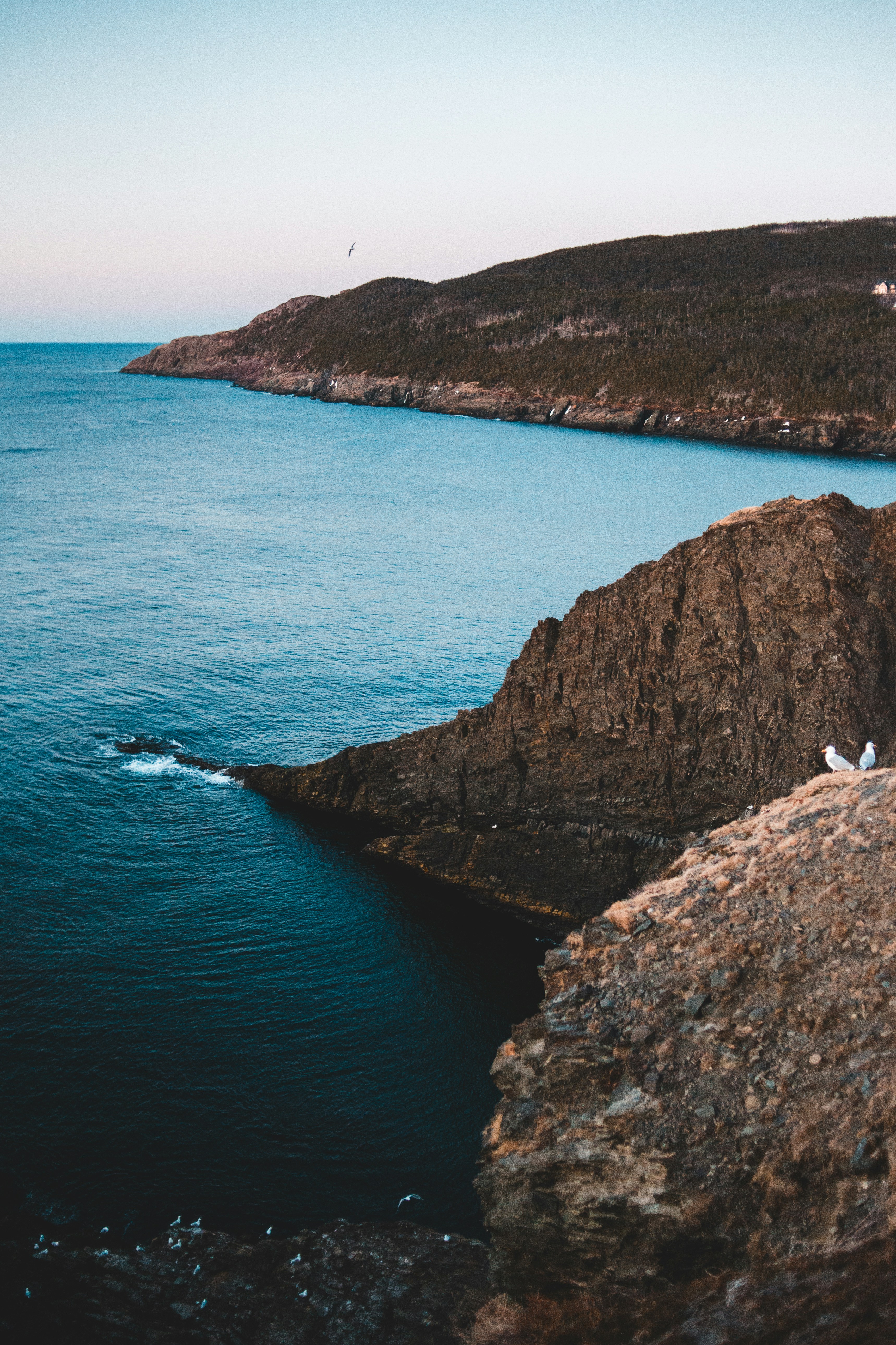 Photo by introspectivedsgn