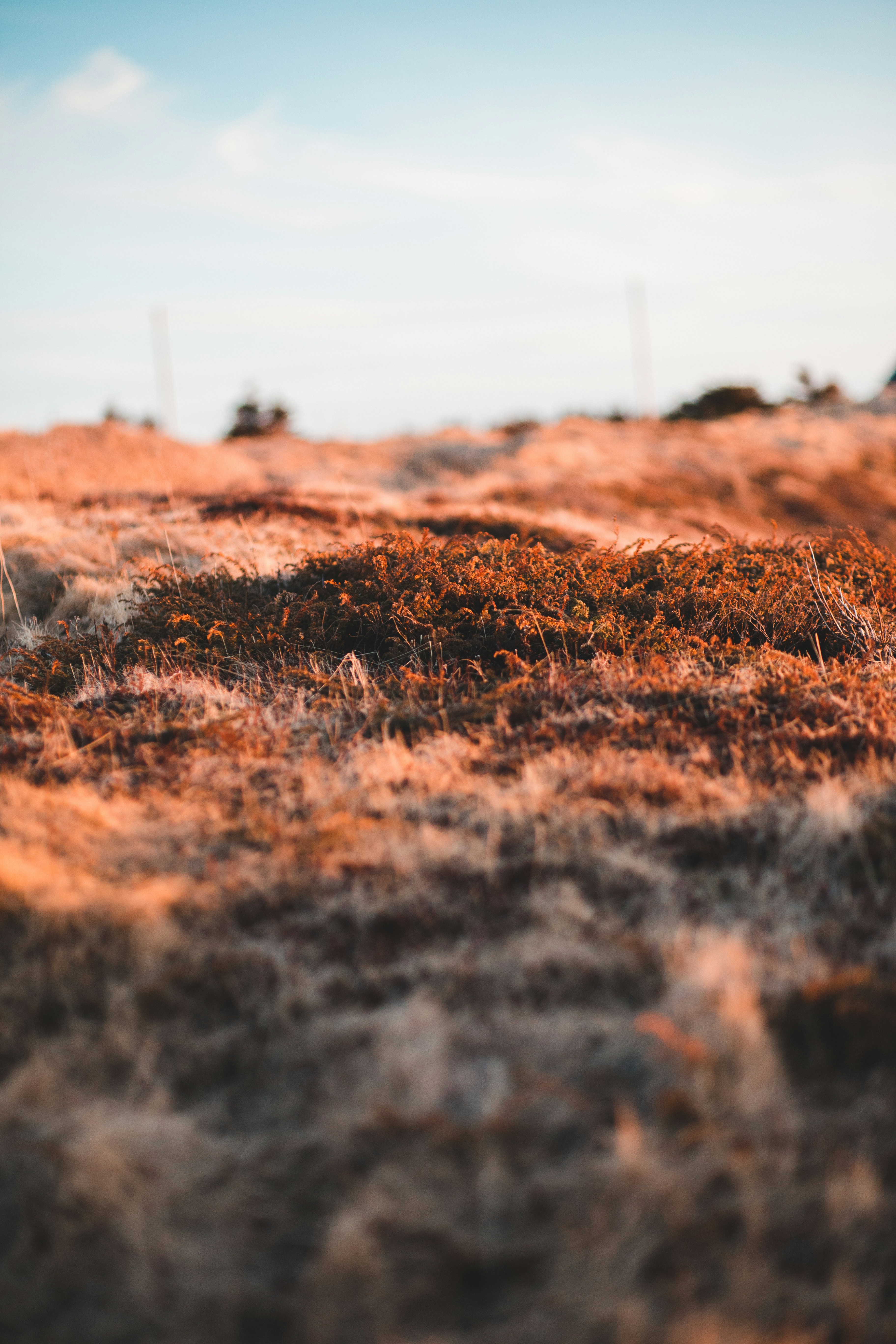Photo by introspectivedsgn