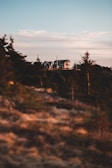 A large house is perched on a hilltop, surrounded by evergreen trees. The foreground is blurred, showing a landscape with brown and green tones. The sky is clear with a hint of clouds, and the lighting suggests it is either sunrise or sunset.