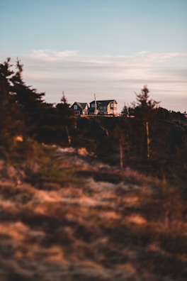 A large house is perched on a hilltop, surrounded by evergreen trees. The foreground is blurred, showing a landscape with brown and green tones. The sky is clear with a hint of clouds, and the lighting suggests it is either sunrise or sunset.
