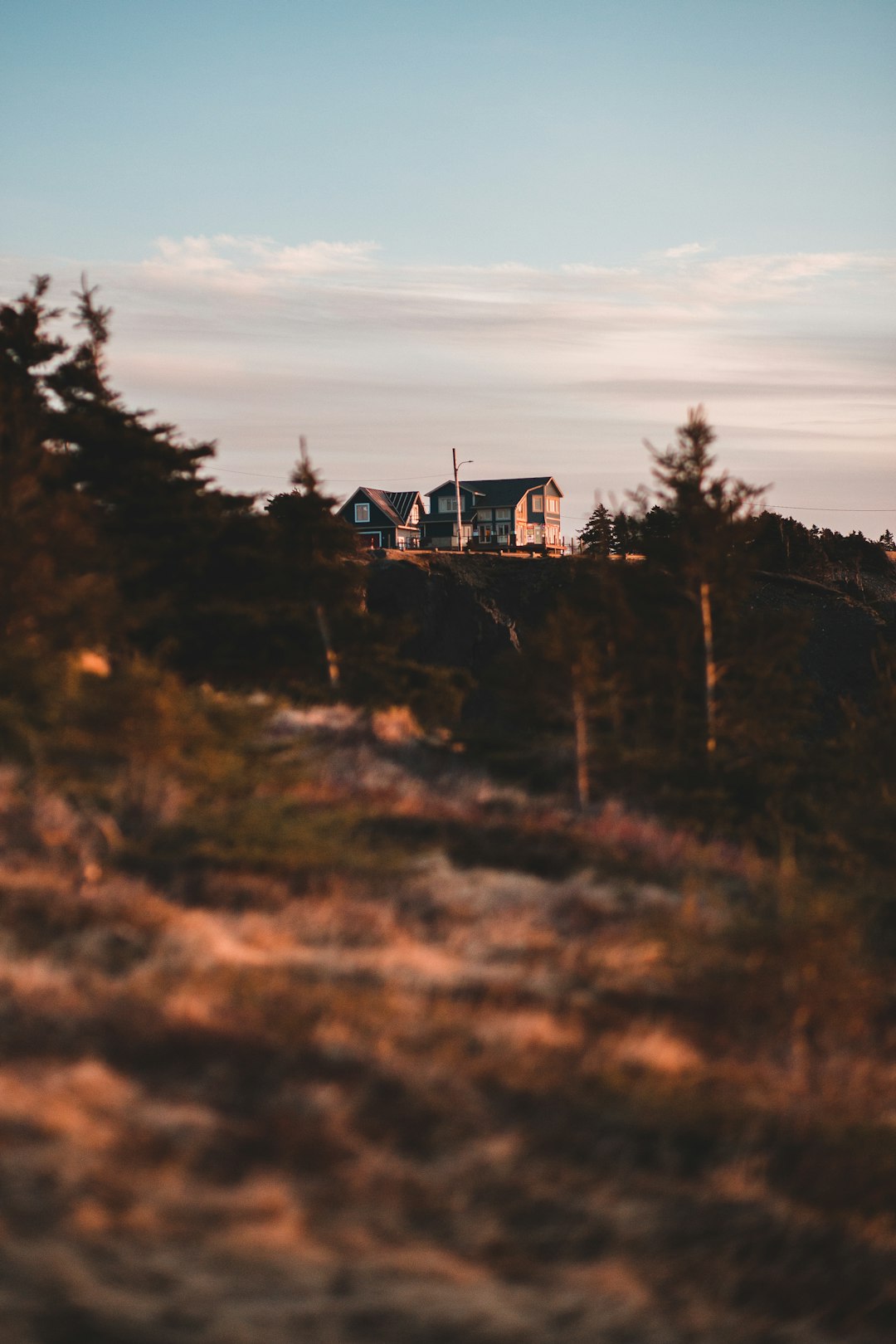 brown wooden house surrounded by trees during daytime