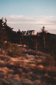 A large house is perched on a hilltop, surrounded by evergreen trees. The foreground is blurred, showing a landscape with brown and green tones. The sky is clear with a hint of clouds, and the lighting suggests it is either sunrise or sunset.