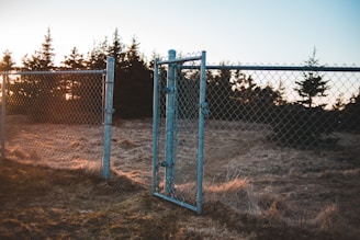 A chain-link fence with a gate stands on a grassy field during sunset. The fence foregrounds an area with sparse grass, surrounded by evergreen trees. Sunlight is filtering through the trees, creating a warm glow.
