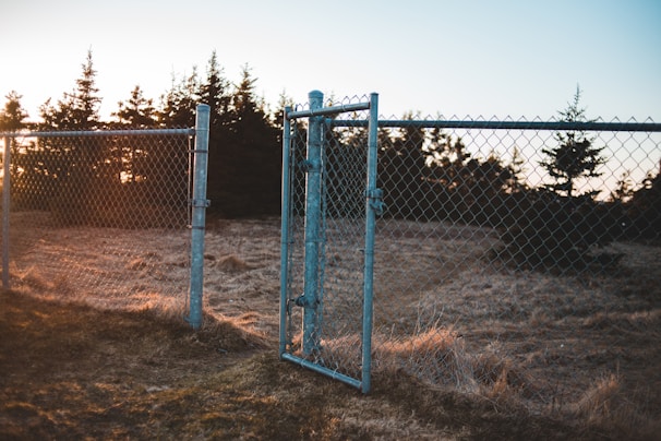 A chain-link fence with a gate stands on a grassy field during sunset. The fence foregrounds an area with sparse grass, surrounded by evergreen trees. Sunlight is filtering through the trees, creating a warm glow.