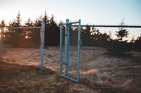 A chain-link fence with a gate stands on a grassy field during sunset. The fence foregrounds an area with sparse grass, surrounded by evergreen trees. Sunlight is filtering through the trees, creating a warm glow.