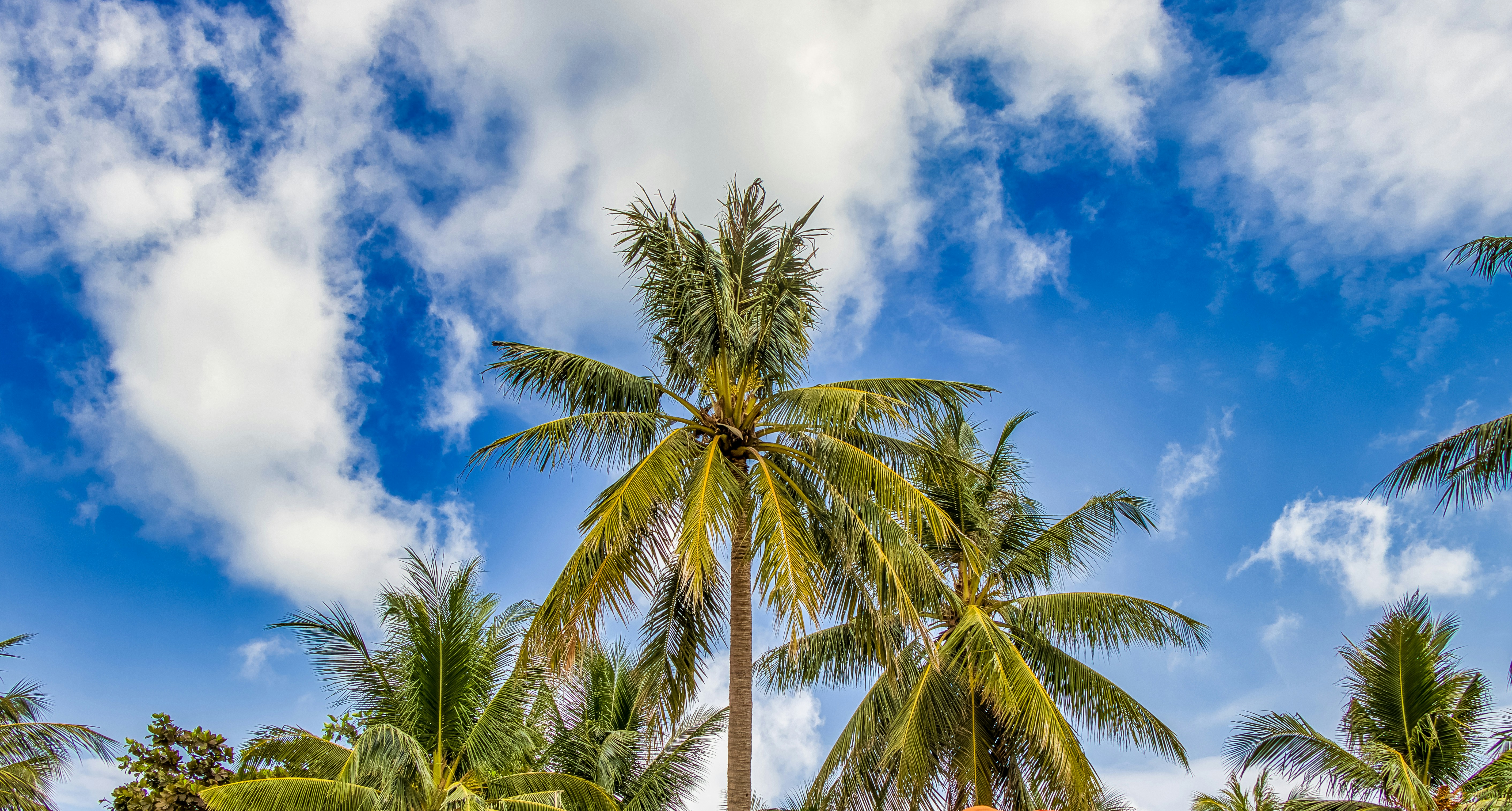 Photo by nextvoyage_pl