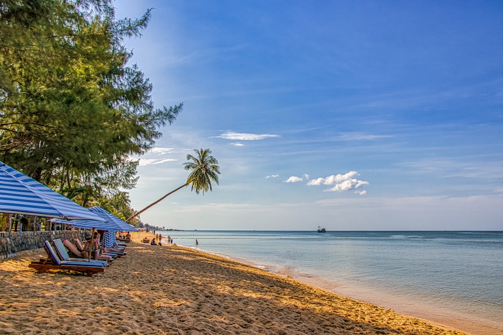 brown wooden house near body of water during daytime