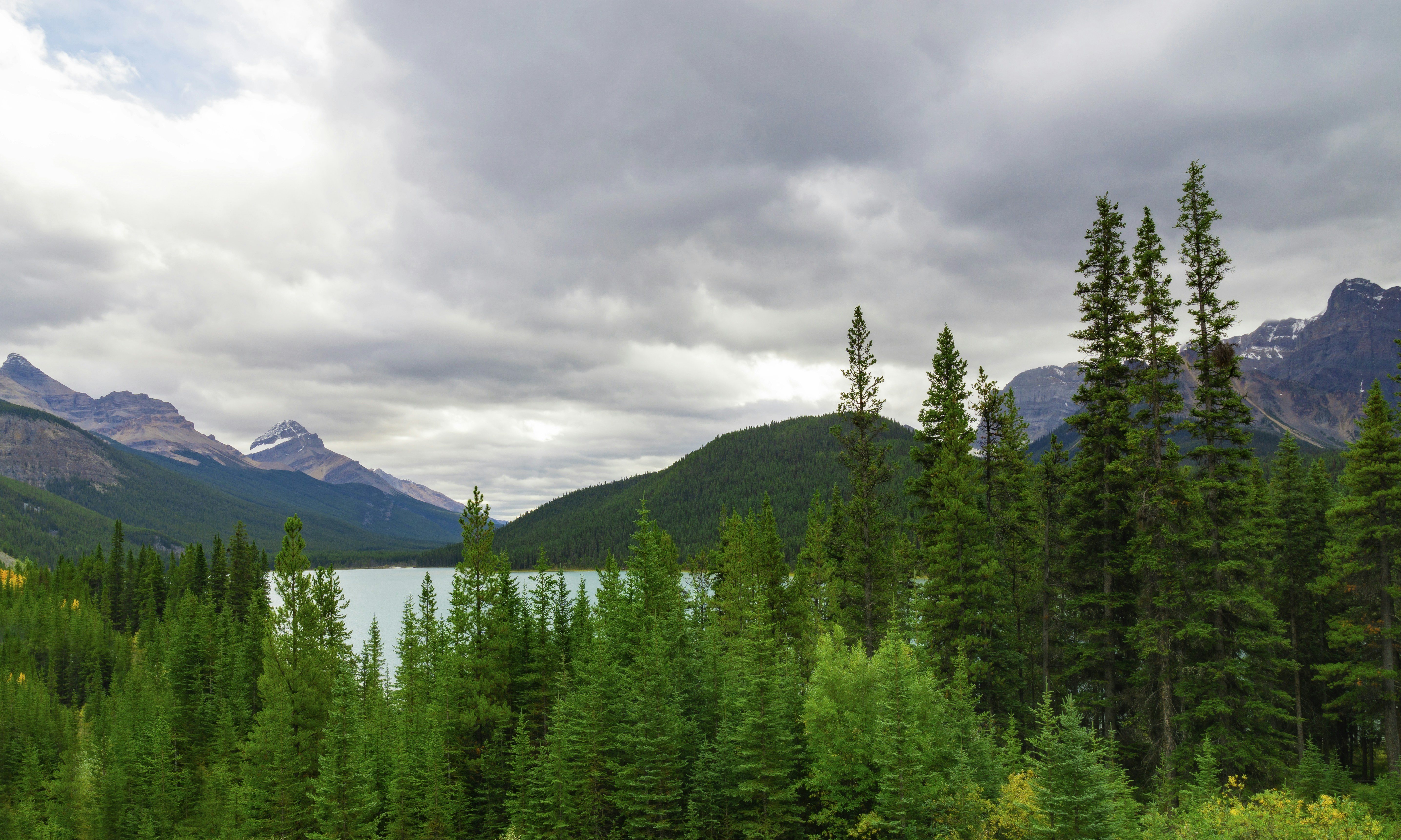 Photo by joshuaworoniecki