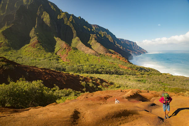 green and brown mountain beside body of water during daytime