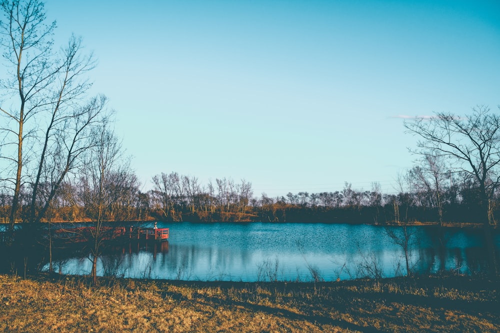 body of water near trees during daytime