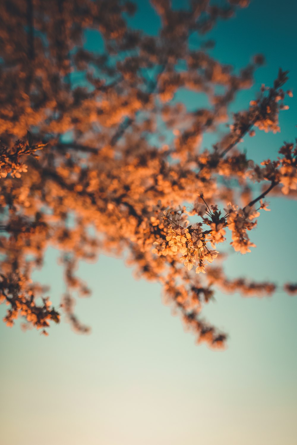 brown leaves on brown tree branch during daytime