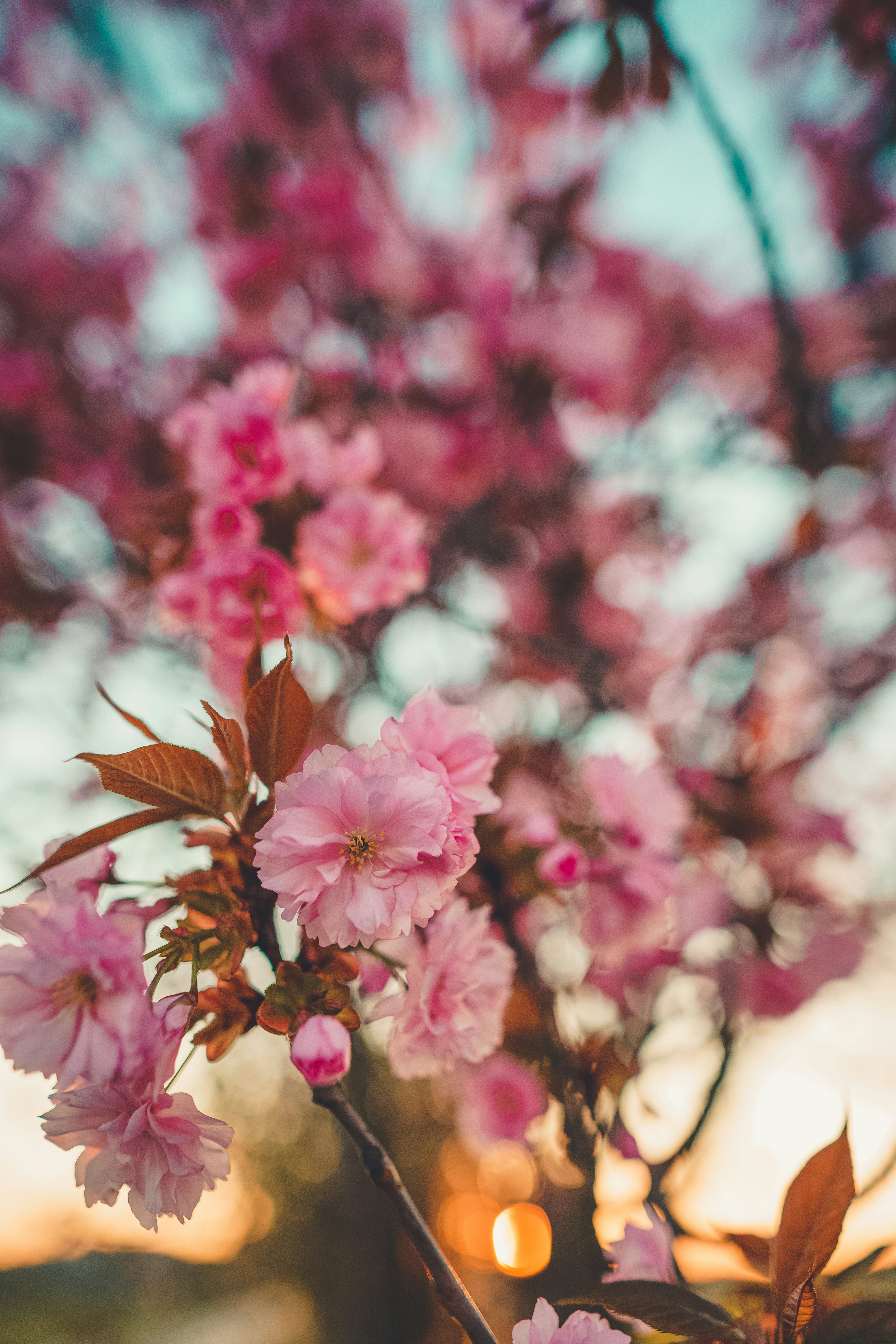 Photo by beckerworks