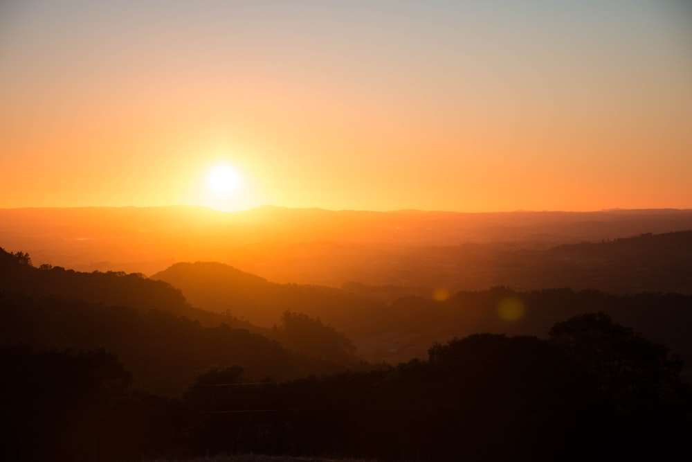 silhouette of trees during sunset