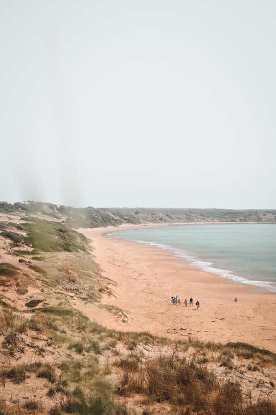 people on beach during daytime in Phillip Island Australia