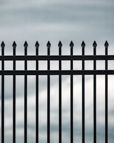 A vertical iron fence with pointed tops is prominently displayed against a cloudy sky backdrop. The bars are evenly spaced and have a sleek, black finish that contrasts with the pale, overcast sky.