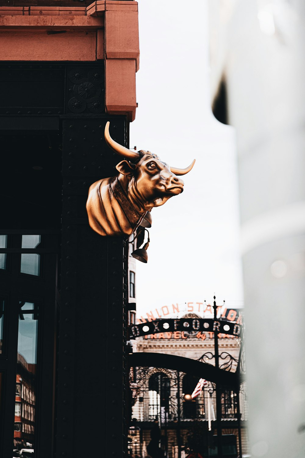 brown animal skull on black metal gate