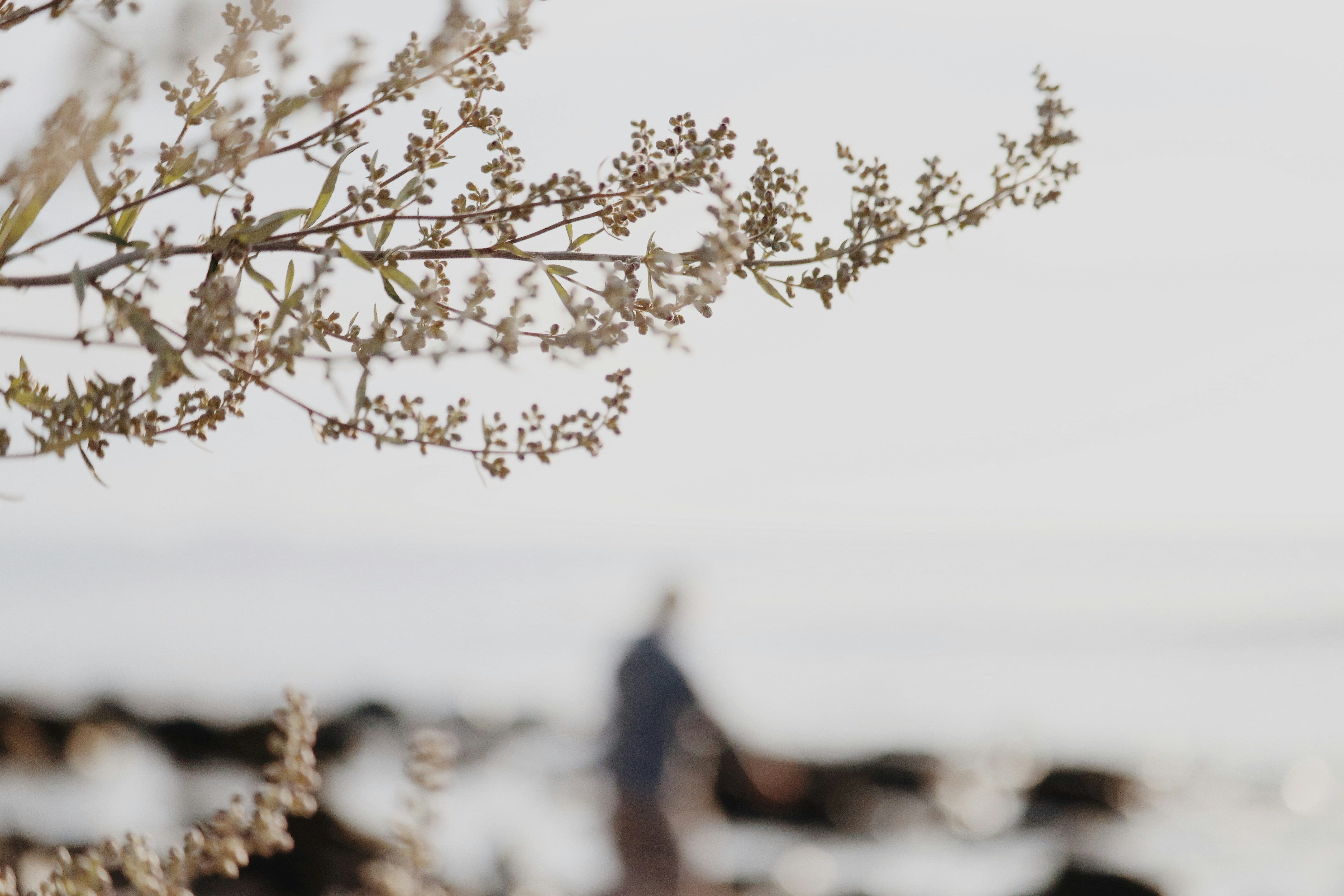 homme en veste noire debout sur le rocher pendant la journée