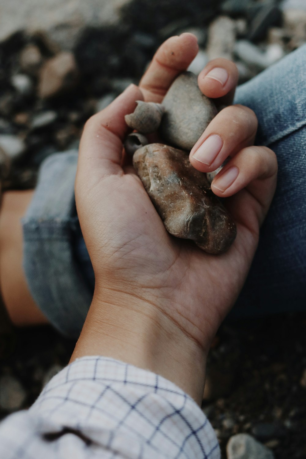 person holding brown stone fragment