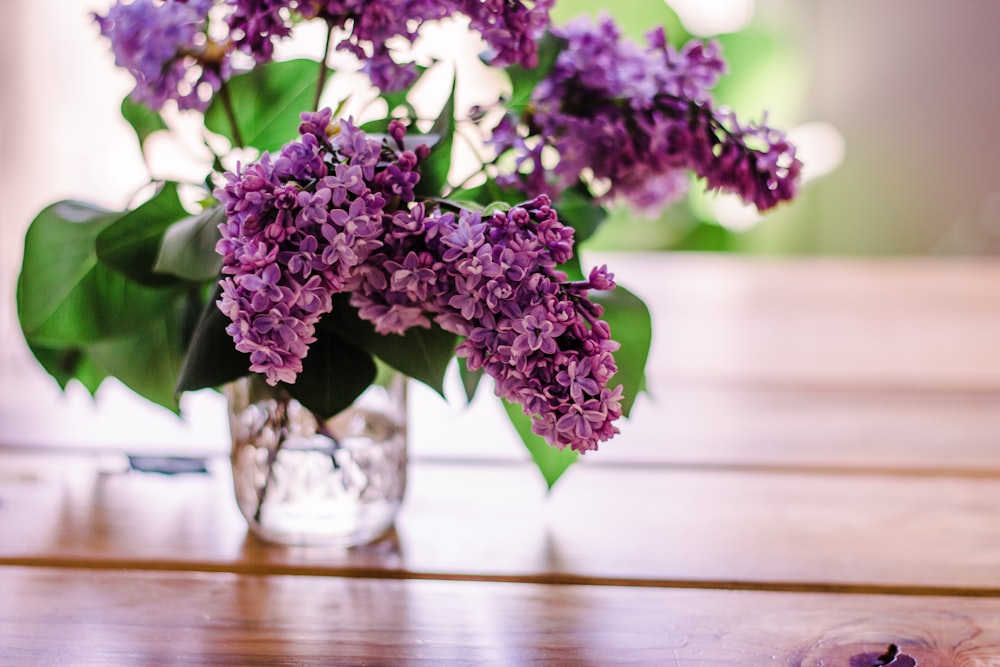 purple flowers in clear glass vase