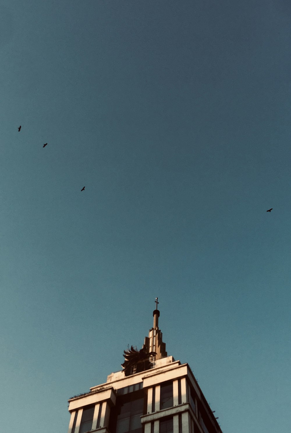 birds flying over brown concrete building under blue sky during daytime