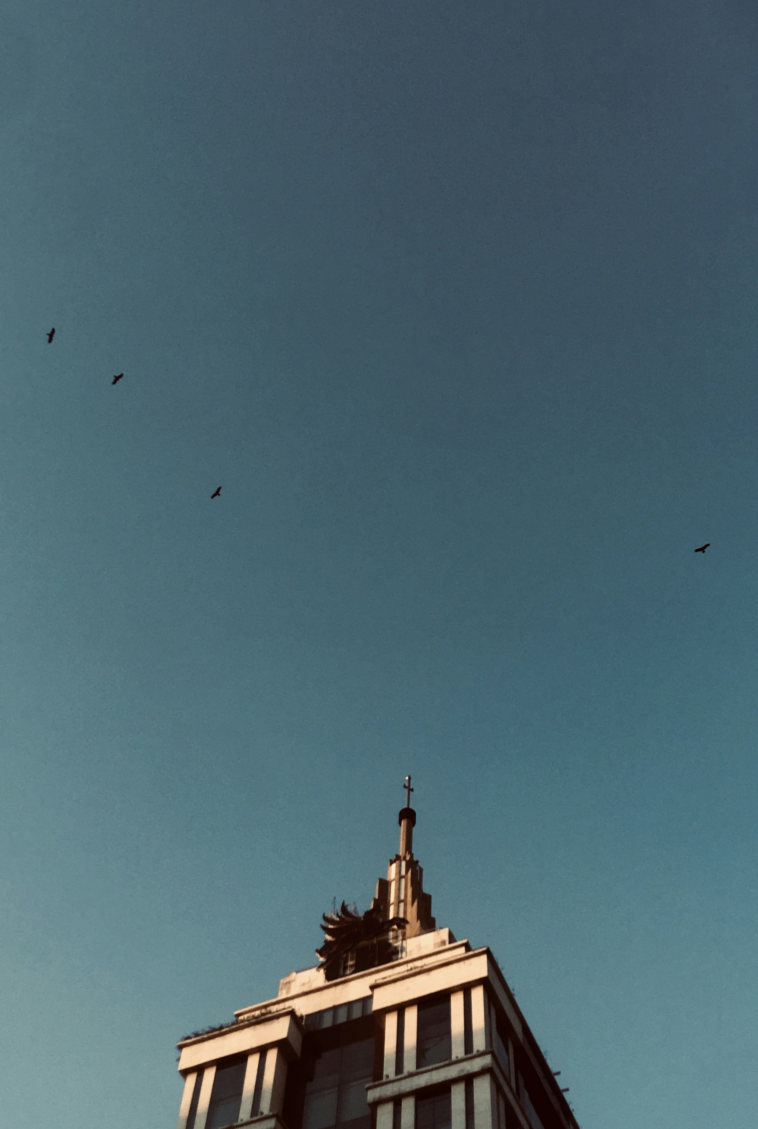 photo-1587786186495-2087759d370f?ixid=M3wxMjA3fDB8MXxzZWFyY2h8Nnx8JUUwJUI4JTk5JUUwJUI4JUIyJUUwJUI5JTgyJUUwJUI4JTlCJUUwJUI4JUE1JUUwJUI4JUI1fGVufDB8fHx8MTc1ODk5Njg1Mnww\u0026ixlib=rb-4.1.0