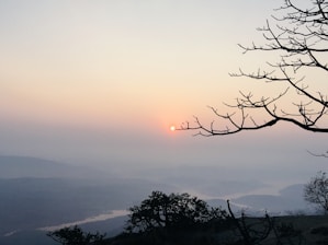 A calm sunrise over a misty path symbolizing new beginnings and clarity.