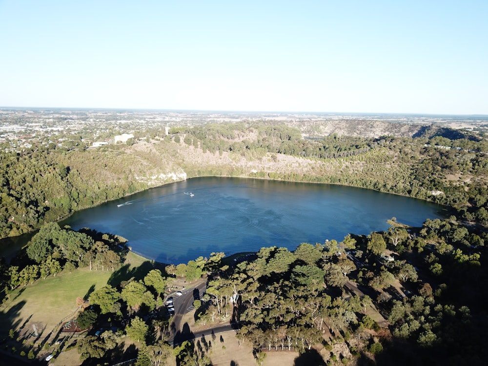 aerial view of green trees and blue lake during daytime