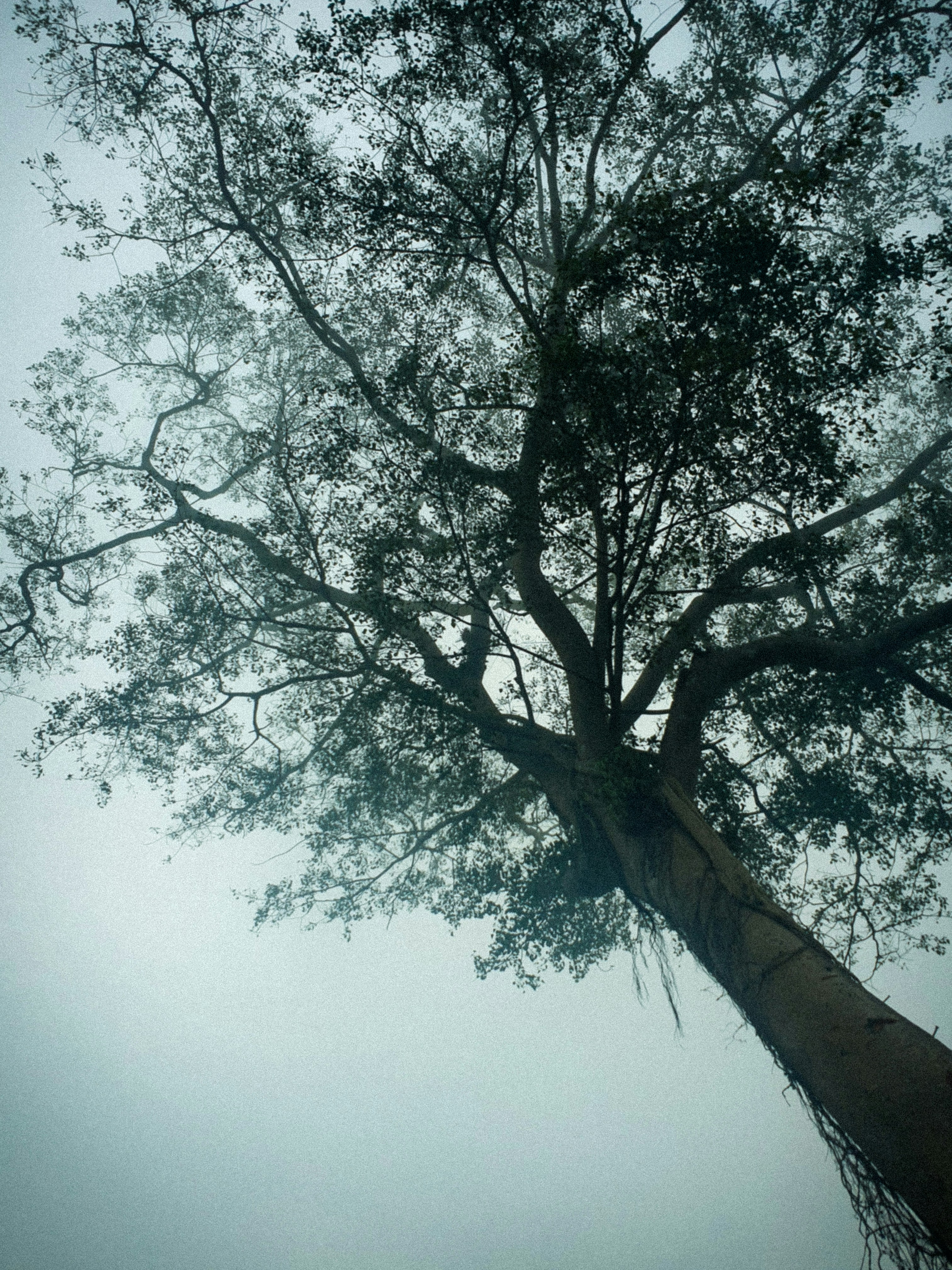 Photo by amir_hamza_98