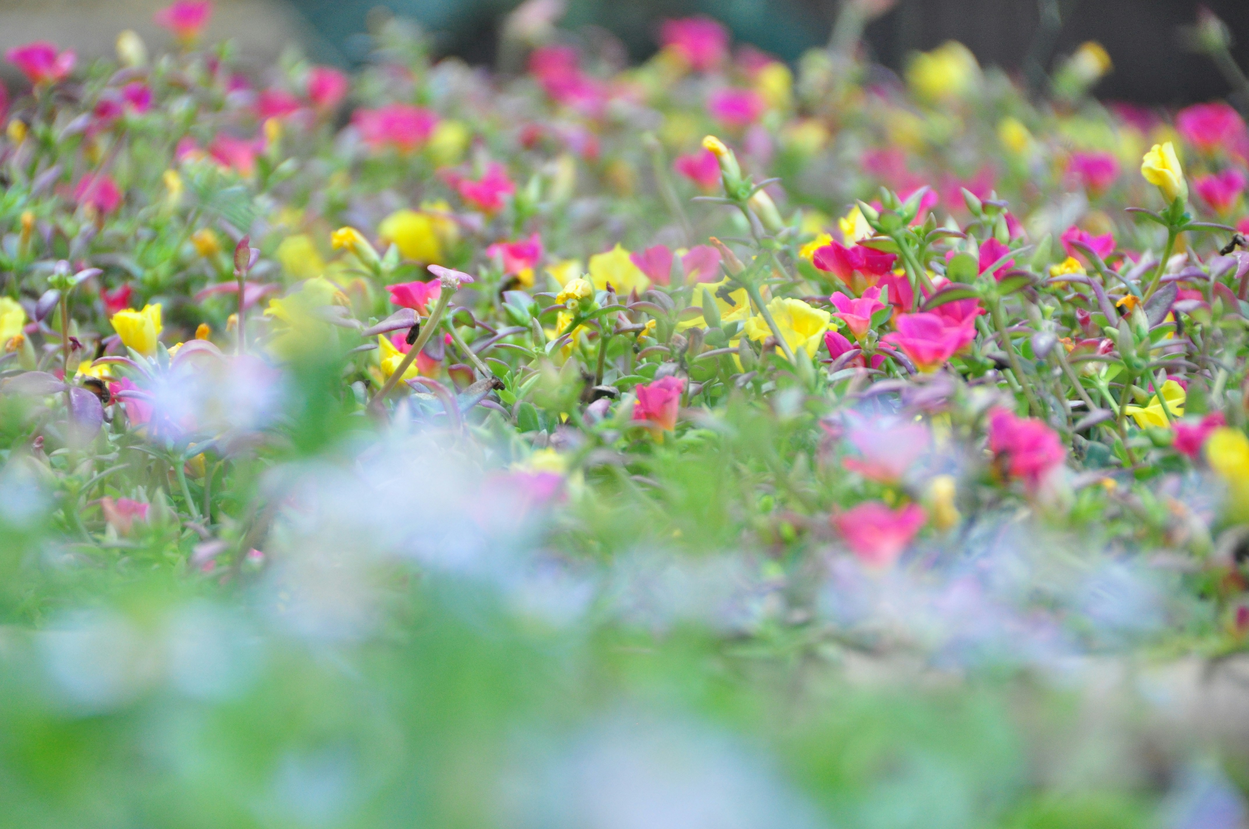 Photo by idonothingbutlove