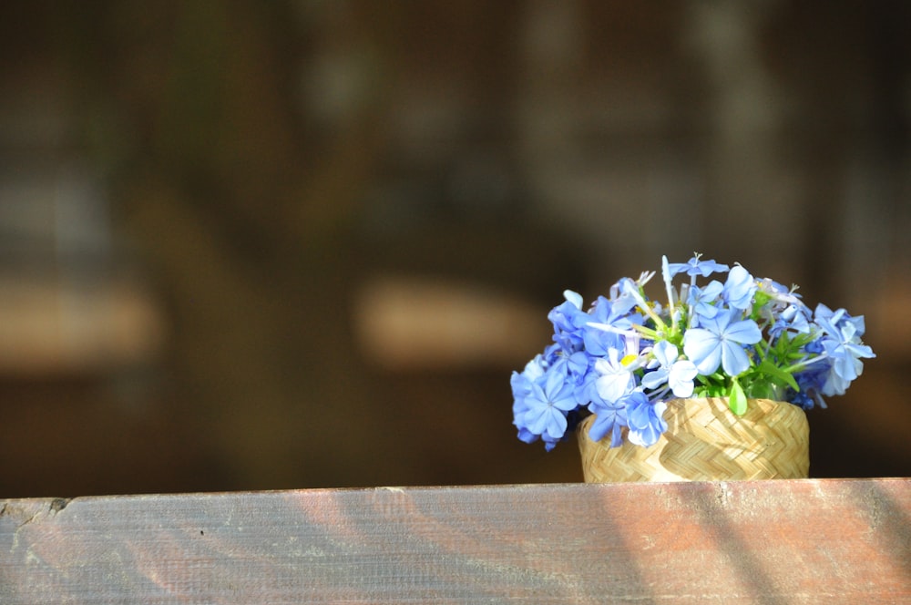 blue and white flower bouquet on brown wooden table