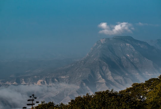 green trees near snow covered mountain during daytime in Querétaro Mexico