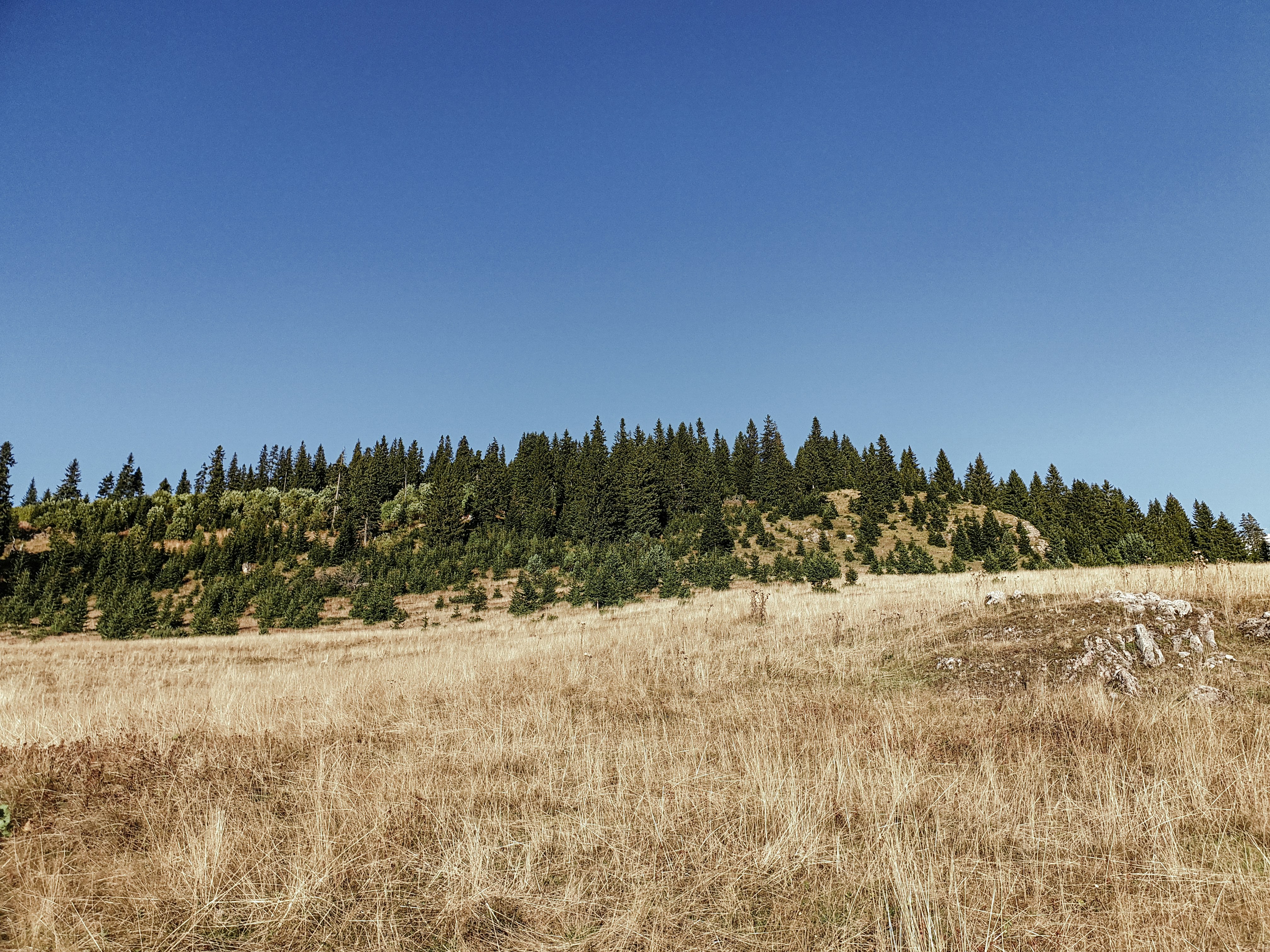 Photo by alberthyseni