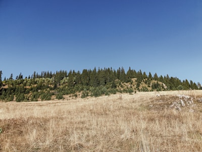 Open plot with clear skies and natural landscape