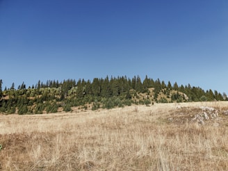 Open plot with clear skies and natural landscape