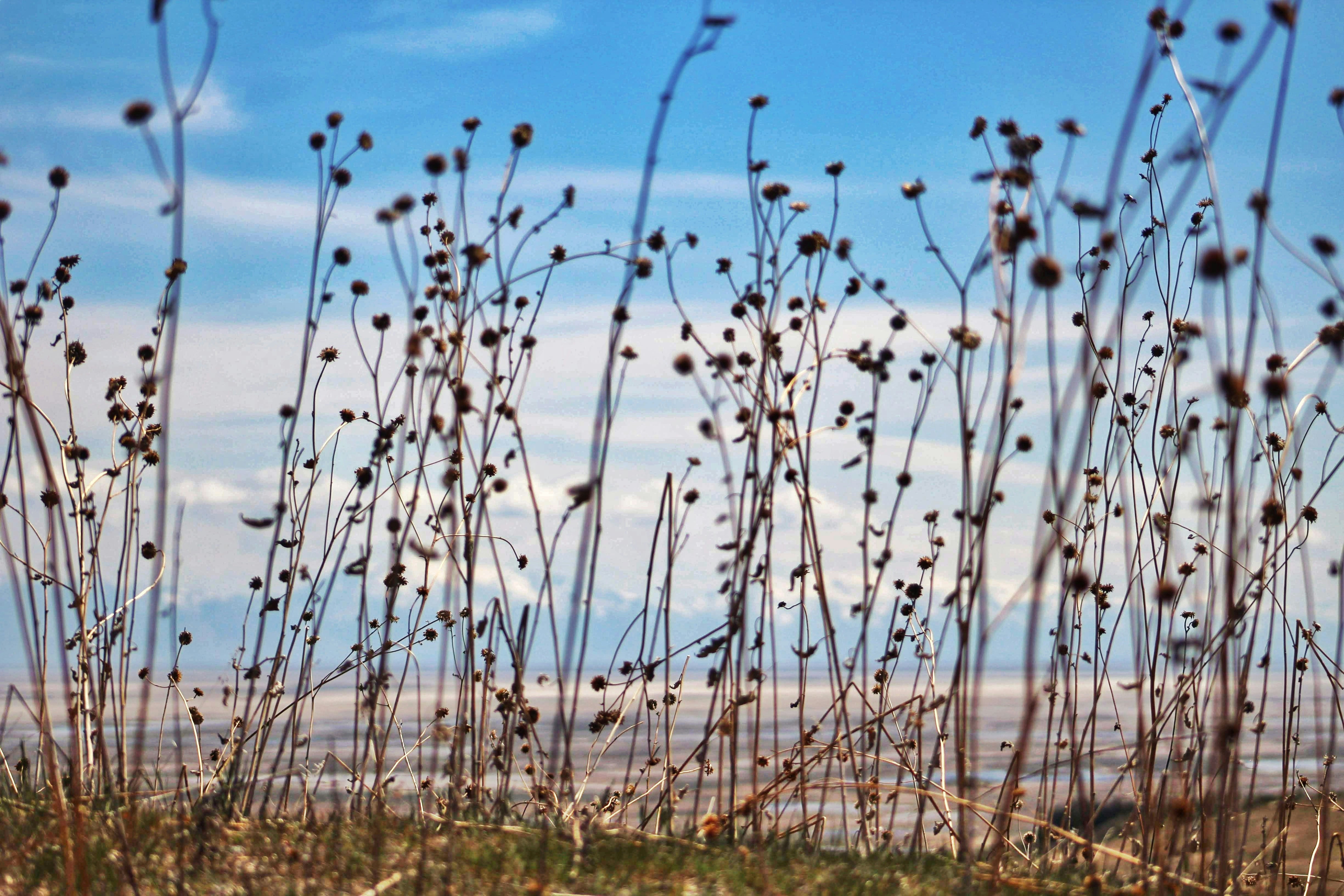 Photo by joshua_hoehne