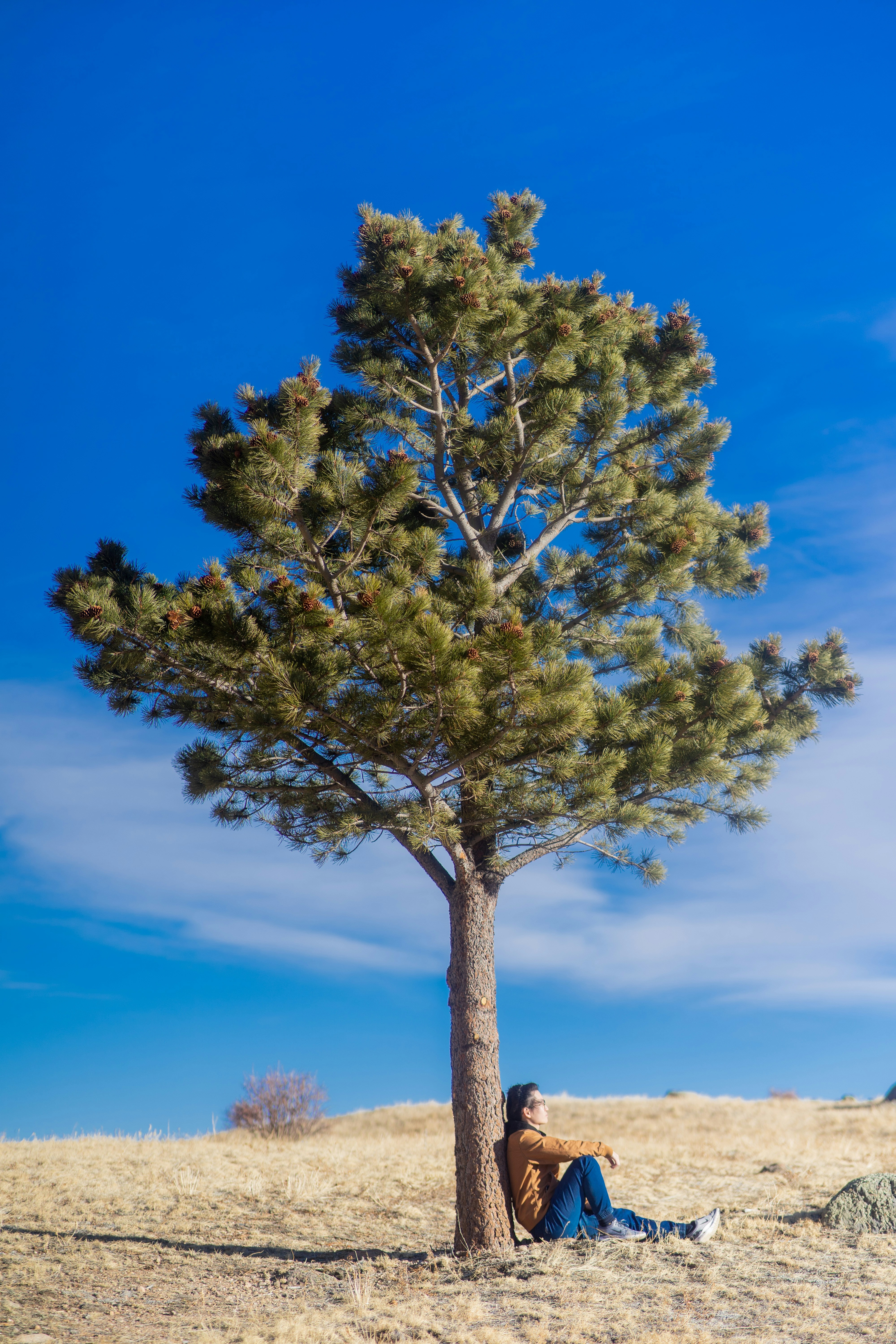 Photo by itworkonline